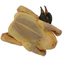 Pigeon 380g