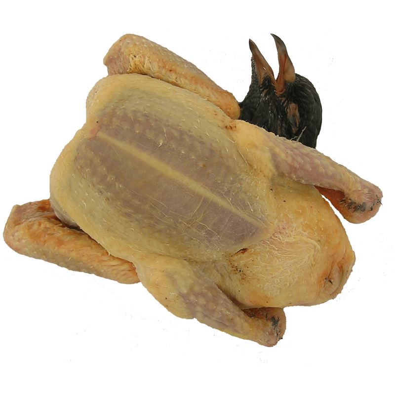 Pigeon 380g