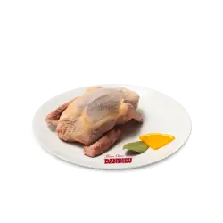 Pigeon vidé nu avec tête