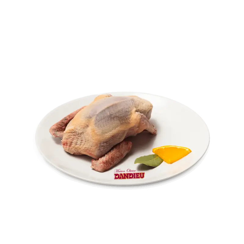 Pigeon vidé nu avec tête